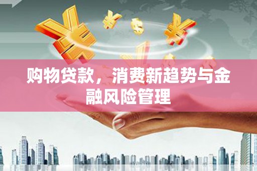 九台购物贷款，消费新趋势与金融风险管理