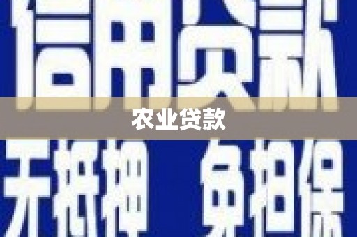 九台农业贷款
