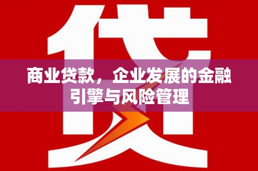 九台商业贷款，企业发展的金融引擎与风险管理