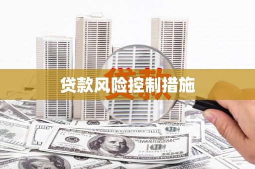 九台贷款风险控制措施
