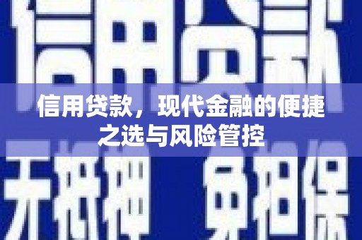 九台信用贷款，现代金融的便捷之选与风险管控