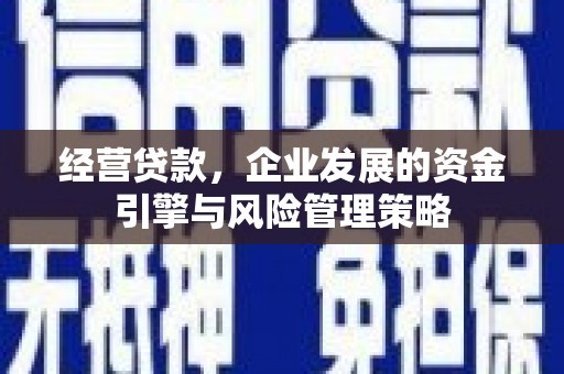 九台经营贷款，企业发展的资金引擎与风险管理策略