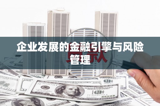 九台企业发展的金融引擎与风险管理
