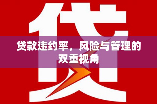 九台贷款违约率，风险与管理的双重视角