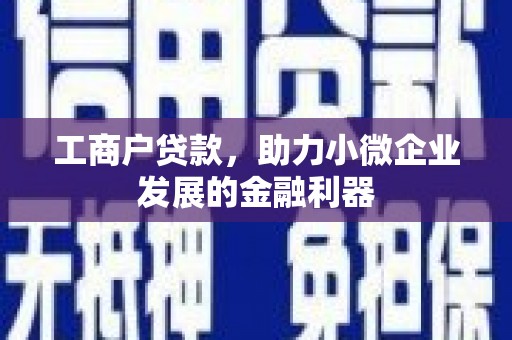 九台工商户贷款，助力小微企业发展的金融利器