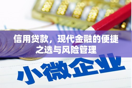 九台信用贷款，现代金融的便捷之选与风险管理