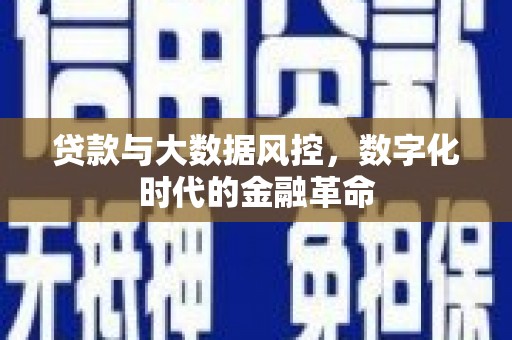 九台贷款与大数据风控，数字化时代的金融革命