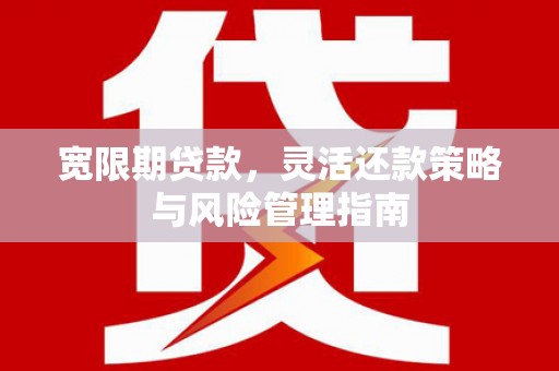 九台宽限期贷款，灵活还款策略与风险管理指南