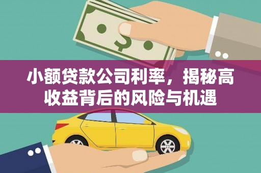 九台小额贷款公司利率，揭秘高收益背后的风险与机遇