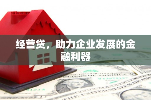 九台经营贷，助力企业发展的金融利器