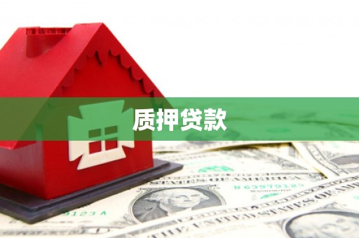 九台质押贷款