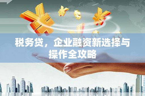九台税务贷，企业融资新选择与操作全攻略