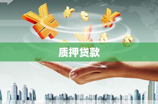 九台质押贷款