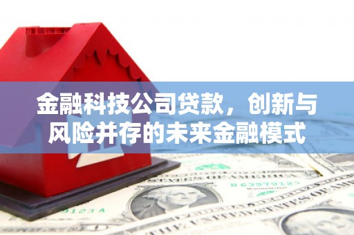 九台金融科技公司贷款，创新与风险并存的未来金融模式