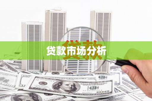 九台贷款市场分析