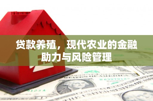 九台贷款养殖，现代农业的金融助力与风险管理