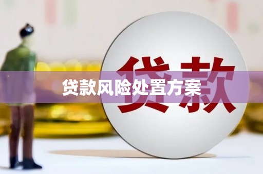 九台贷款风险处置方案