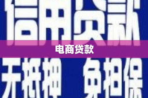 九台电商贷款
