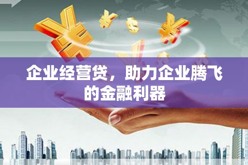 九台企业经营贷，助力企业腾飞的金融利器