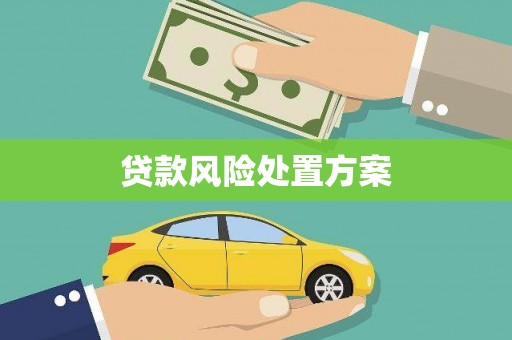 九台贷款风险处置方案