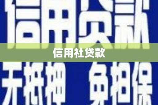 九台信用社贷款