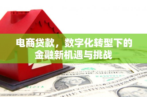 九台电商贷款，数字化转型下的金融新机遇与挑战