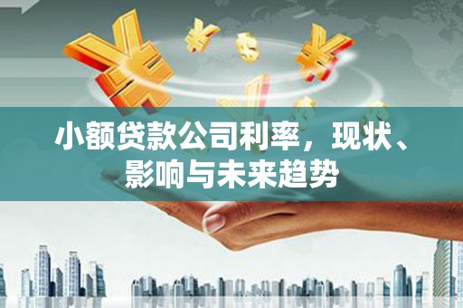 九台小额贷款公司利率，现状、影响与未来趋势