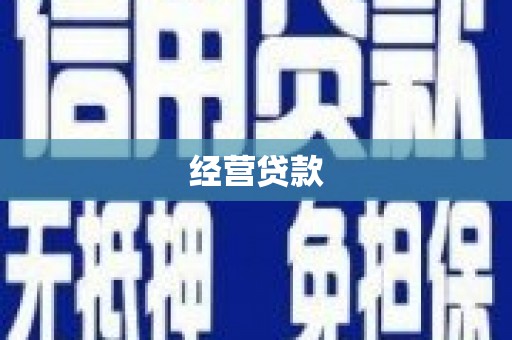九台经营贷款