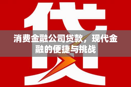 九台消费金融公司贷款，现代金融的便捷与挑战