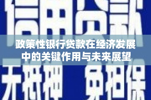 九台政策性银行贷款在经济发展中的关键作用与未来展望