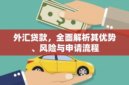 九台外汇贷款，全面解析其优势、风险与申请流程