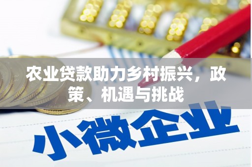 九台农业贷款助力乡村振兴，政策、机遇与挑战