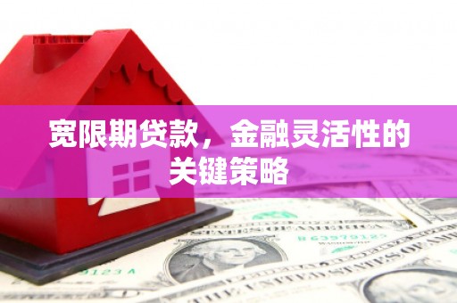 九台宽限期贷款，金融灵活性的关键策略