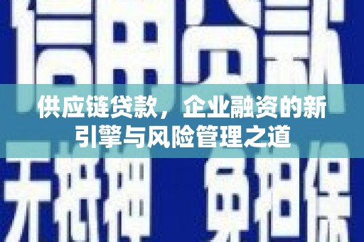 九台供应链贷款，企业融资的新引擎与风险管理之道