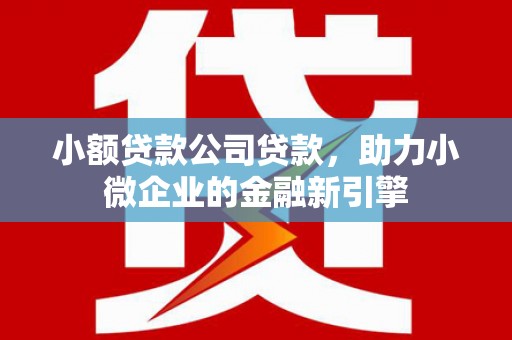 九台小额贷款公司贷款，助力小微企业的金融新引擎
