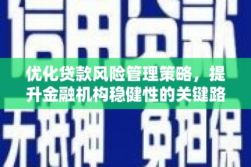 九台优化贷款风险管理策略，提升金融机构稳健性的关键路径