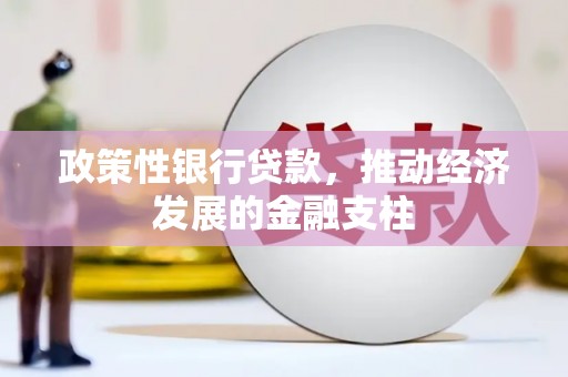 九台政策性银行贷款，推动经济发展的金融支柱