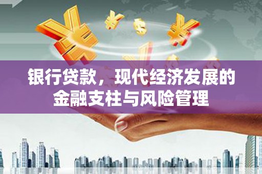 九台银行贷款，现代经济发展的金融支柱与风险管理