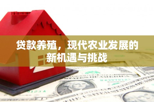 九台贷款养殖，现代农业发展的新机遇与挑战