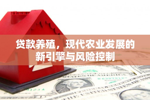 九台贷款养殖，现代农业发展的新引擎与风险控制