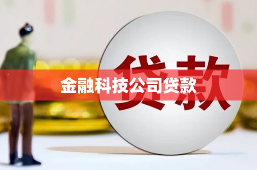 九台金融科技公司贷款