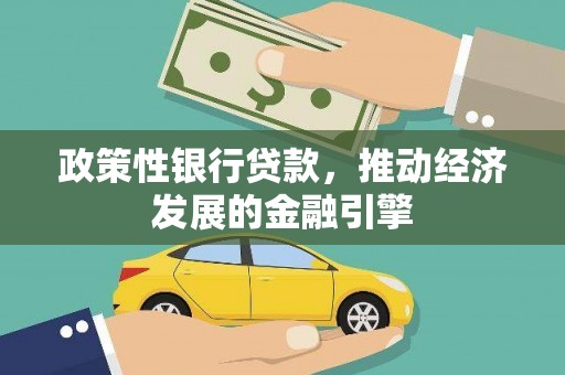 九台政策性银行贷款，推动经济发展的金融引擎