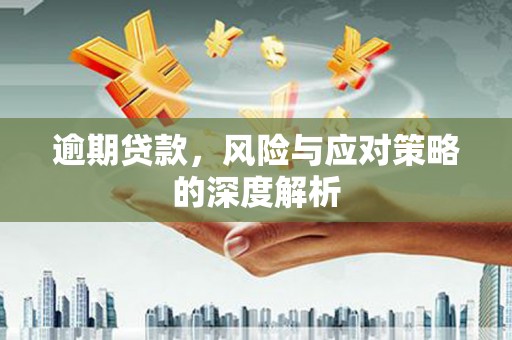 九台逾期贷款，风险与应对策略的深度解析