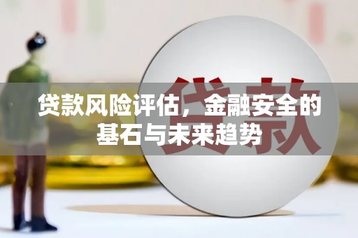 九台贷款风险评估，金融安全的基石与未来趋势