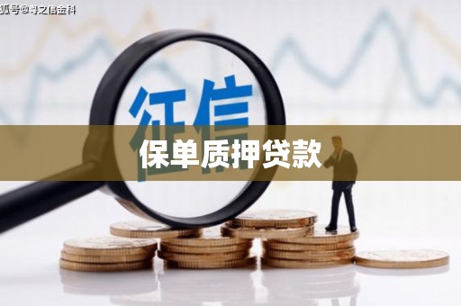 九台保单质押贷款