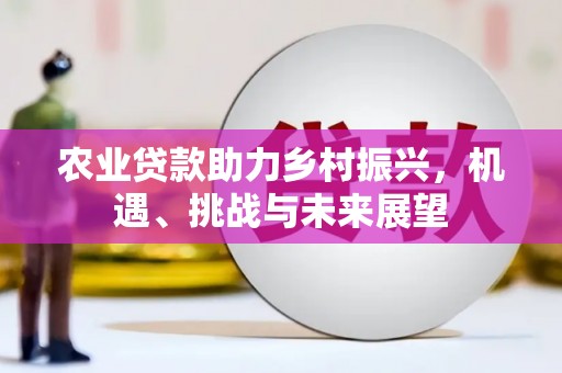 九台农业贷款助力乡村振兴，机遇、挑战与未来展望