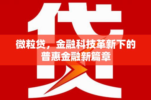 九台微粒贷，金融科技革新下的普惠金融新篇章