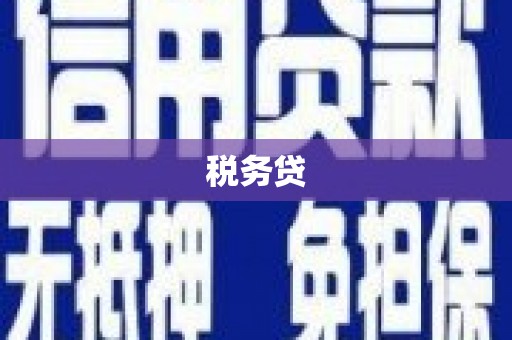 九台税务贷