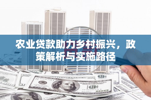 九台农业贷款助力乡村振兴，政策解析与实施路径