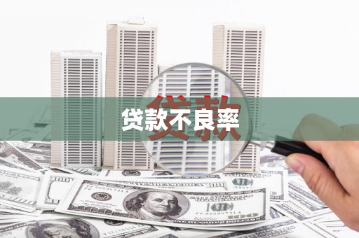 九台贷款不良率